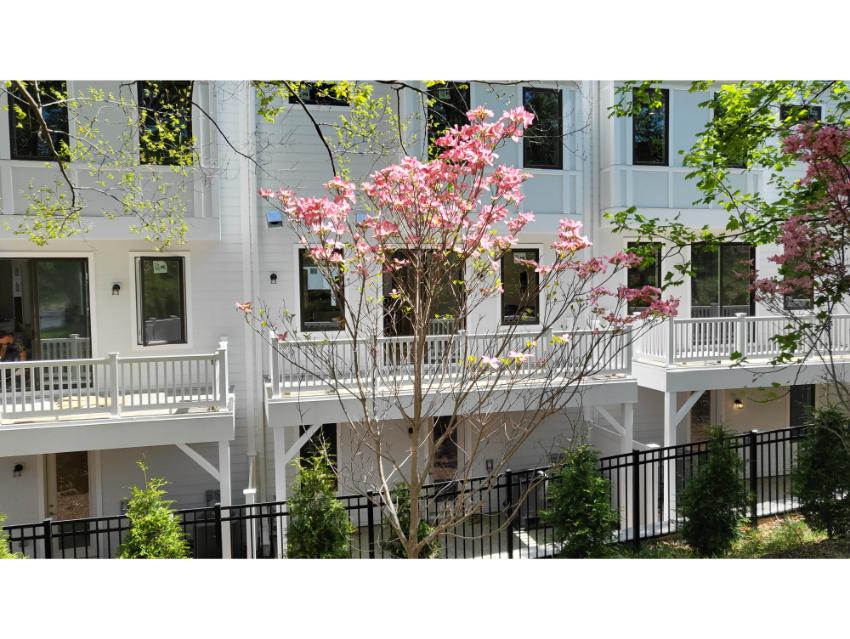 Crescent - 24ft-wide Townhome with Rooftop Terrace 