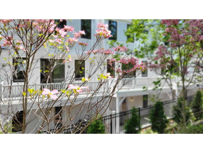 Creekside Chevy Chase